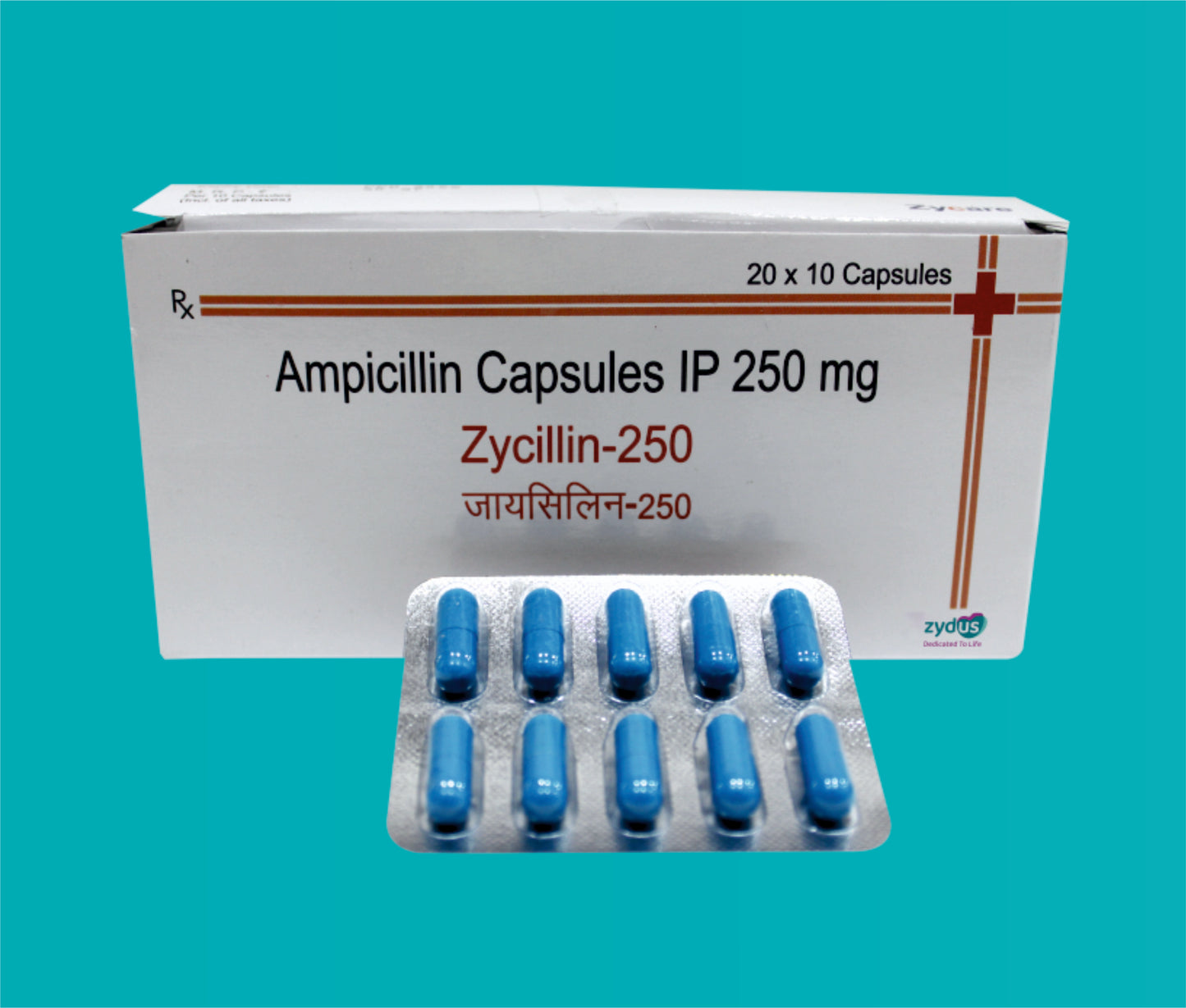 Zycillin 250 Cap. (20 X 10) Ampicillin 250 mg by Zydus