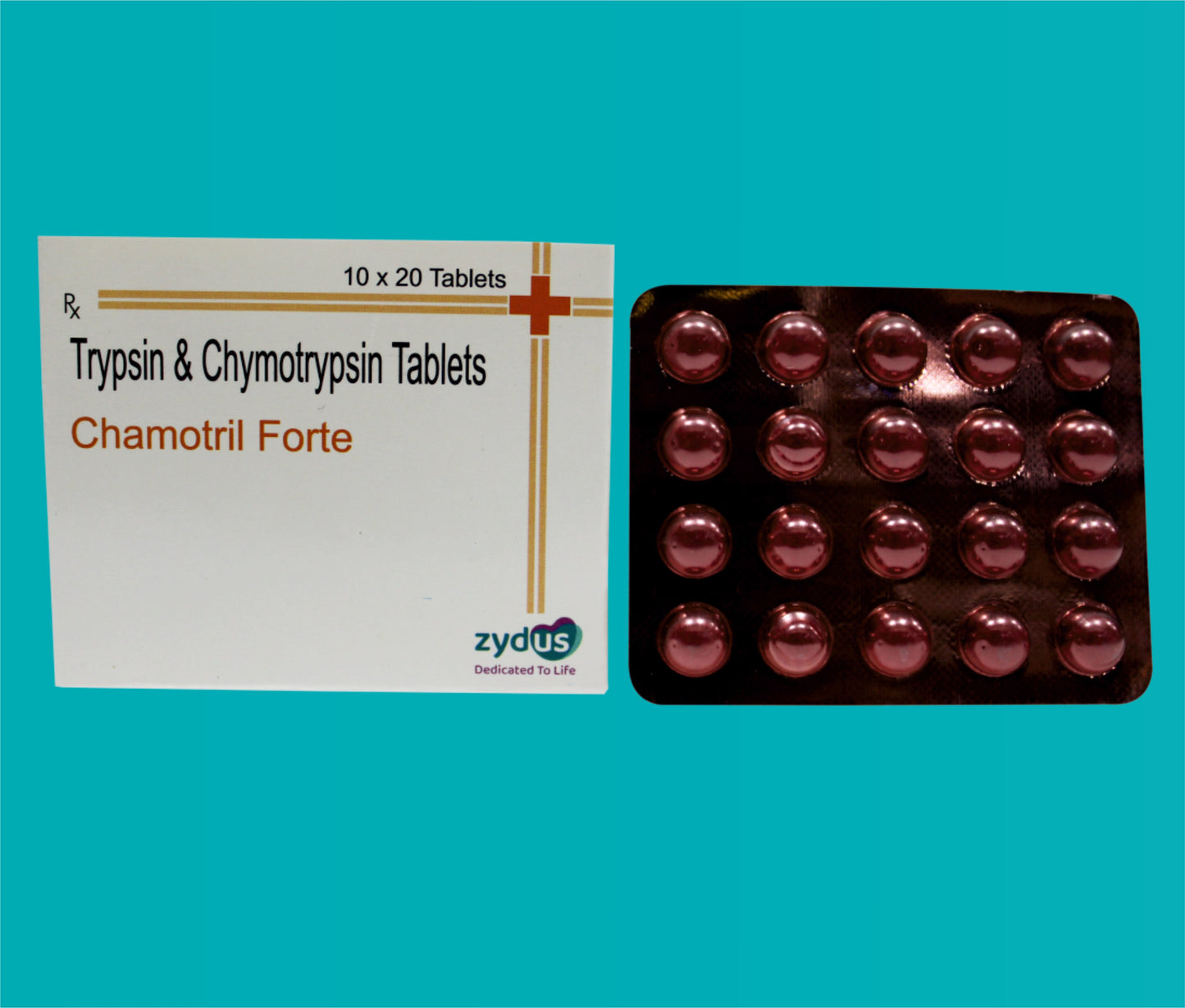 Chamotril Forte Tablet 10x20 Tripsin 100000 AU + Kimotripsin 100000 AU Zydus'tan